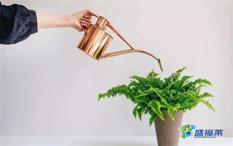 甲醛揮發(fā)周期長(zhǎng)，但速率卻逐漸降低