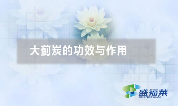 大薊炭的功效與作用(大薊炭的五大應用)