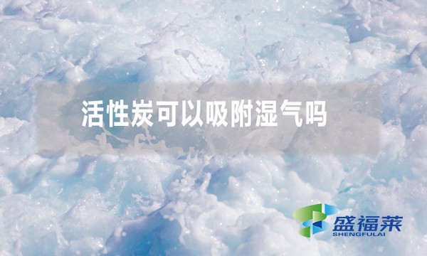 活性炭可以吸附濕氣嗎 為什么？