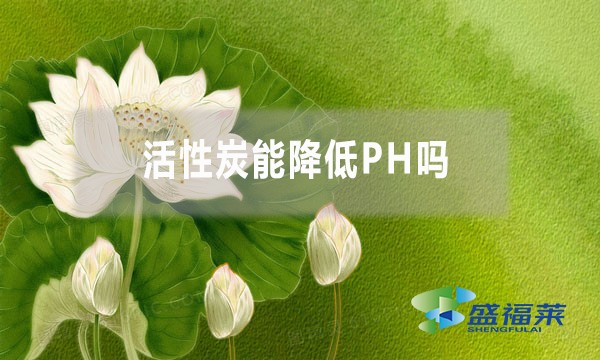 活性炭能降低PH嗎？為什么？