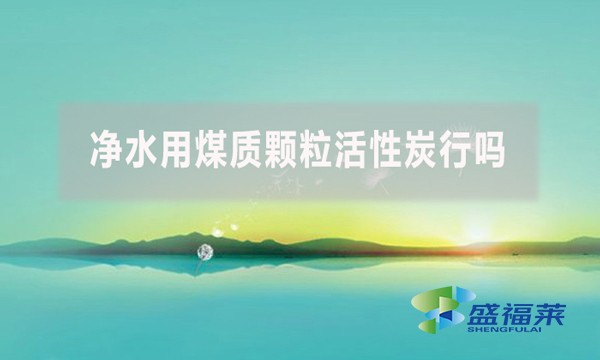 凈水用煤質(zhì)顆粒活性炭行嗎？