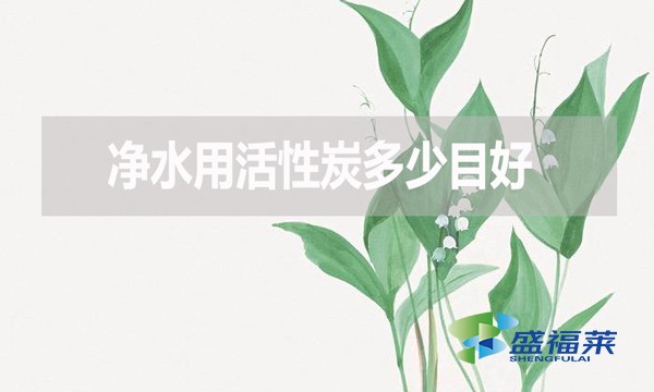 凈水用活性炭多少目好？有哪些優(yōu)缺點(diǎn)？