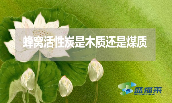 蜂窩活性炭是木質(zhì)還是煤質(zhì)？哪種好？