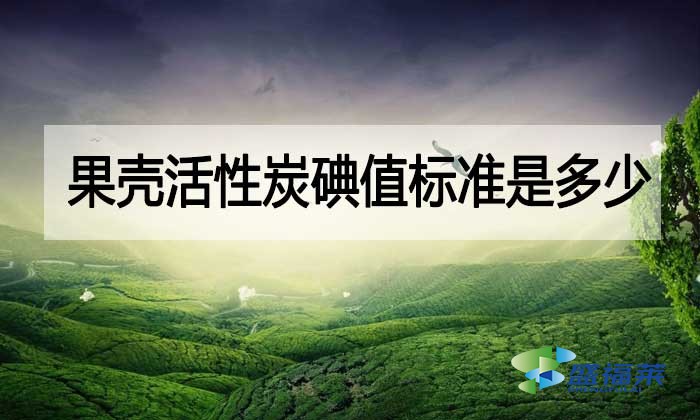 果殼活性炭碘值標準是多少？與其他活性炭相差多少？