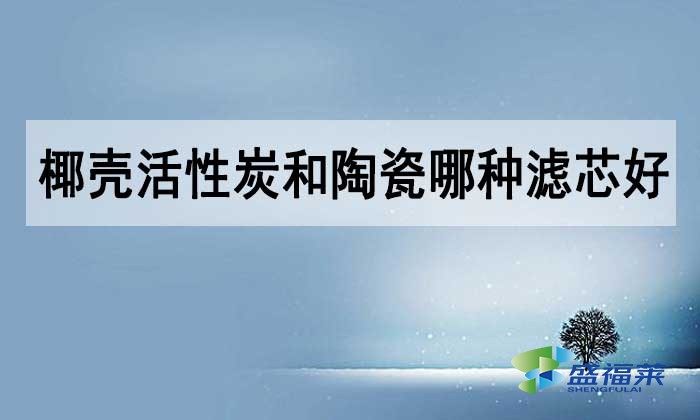 椰殼活性炭和陶瓷哪種濾芯好？如何選擇？